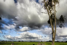 [CBA]常规赛12月20日：辽宁VS北京.