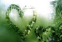 时隔5年!34岁张国伟回应复出后夺冠:年龄不是问题九派新闻.